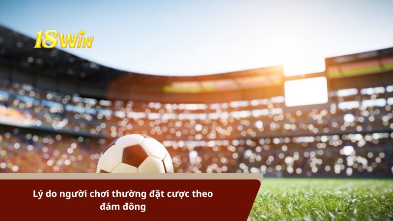 Người chơi thường đặt cược theo đám đông